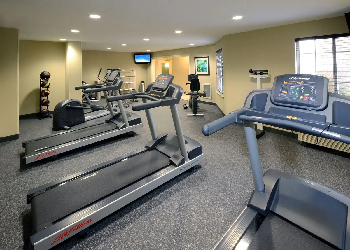 A motivating fitness room equipped with treadmills, an exercise bike, a weight rack, and a television, with large windows bringing in natural light for an energizing workout experience.